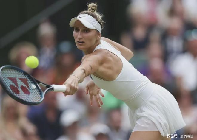 他将在未来 他将在未来