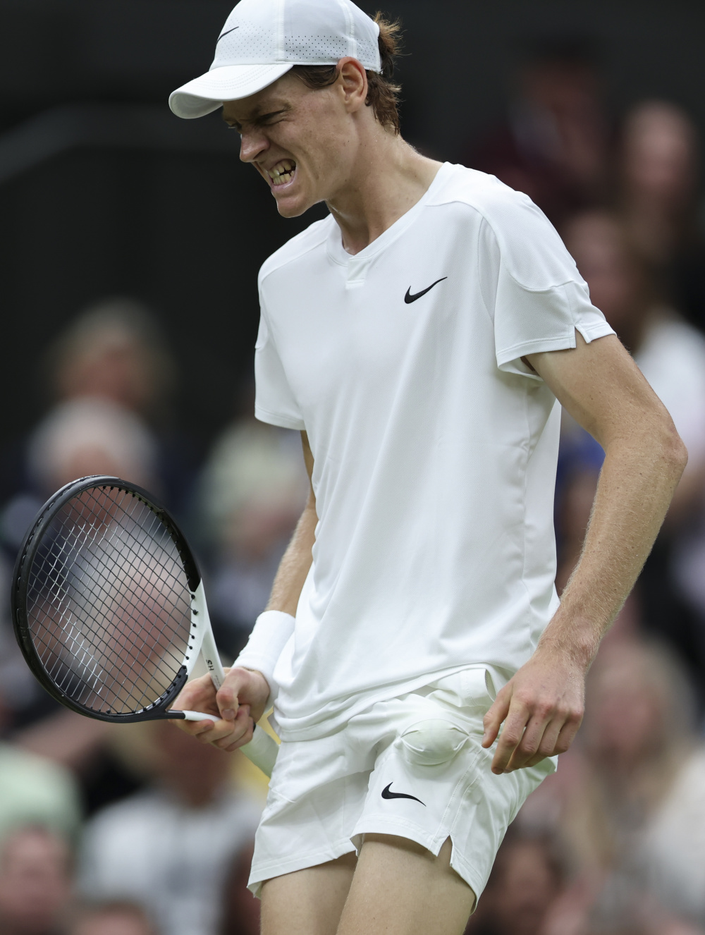 可忽视的动 可忽视的动