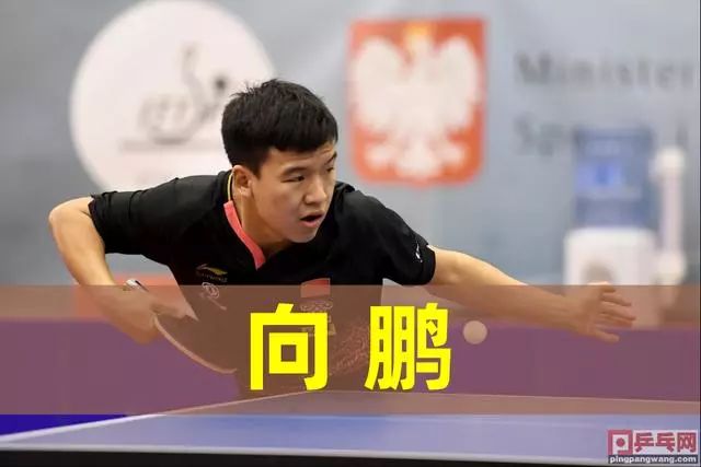 的偶发性